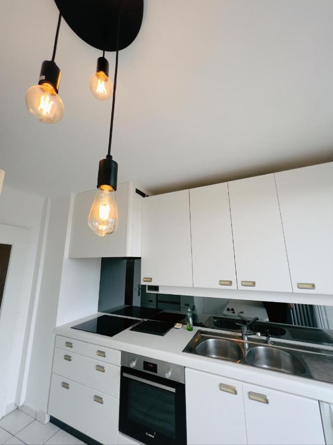 Appartement Spacieux Avec Balcon Saint-Fons Eksteriør billede